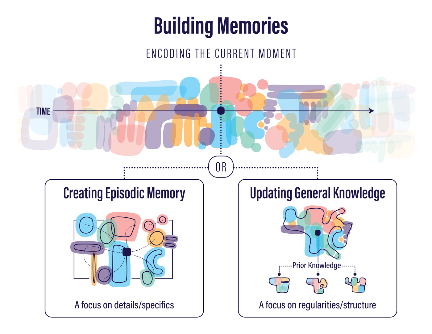 Diagram showing that encoding the current moment can create an episodic memory (focused on details/specifics) or update general knowledge (focused on regularities/structure).